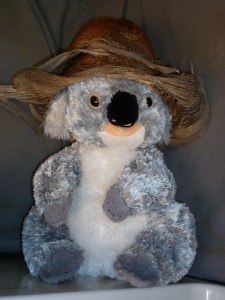 P1020933_koala